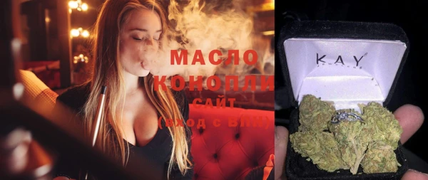 spice Богородицк