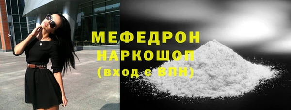 spice Богородицк