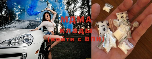 spice Богородицк